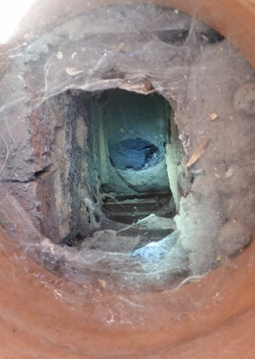 Chimney Sweep & Cobweb Removal - Kingswinford, Dudley, West Midlands.